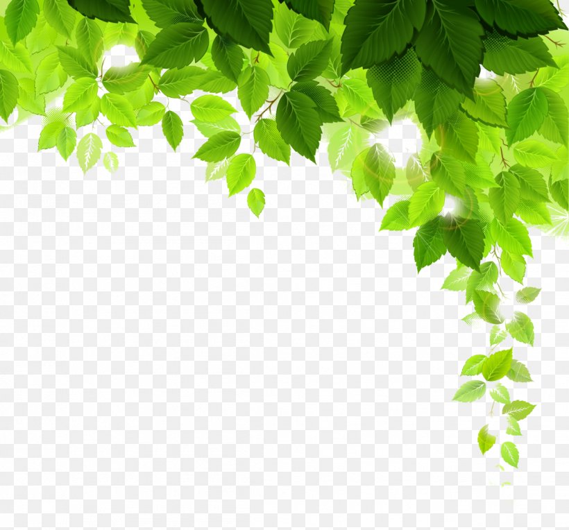 Plant Desktop Wallpaper Tree, PNG, 1159x1080px, Plant, Branch, Grass, Green, Leaf Download Free