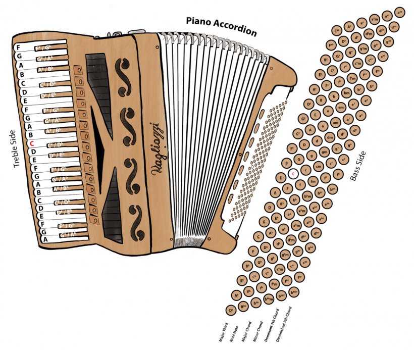 Diatonic Button Accordion Musical Instruments Free Reed Aerophone Diagram, PNG, 1240x1049px, Watercolor, Cartoon, Flower, Frame, Heart Download Free