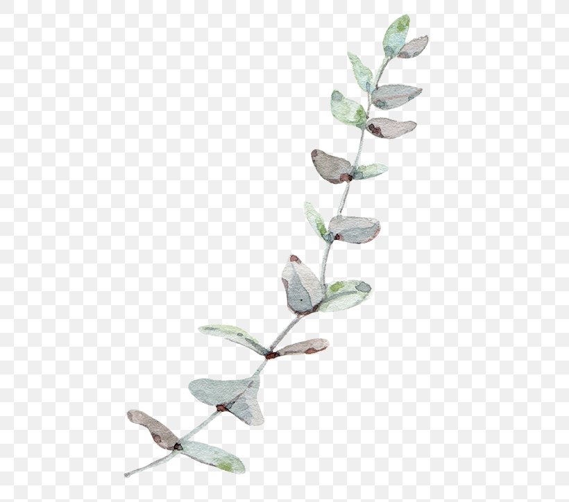 Gum Trees Leaf, PNG, 744x724px, Gum Trees, Arecaceae, Branch, Leaf, Pattern Download Free