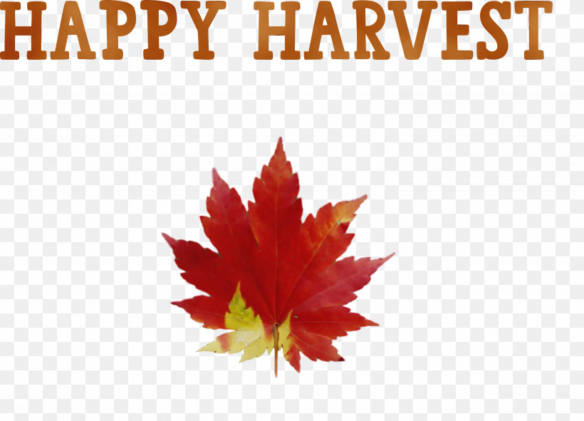 Leaf Drawing Season Autumn Text, PNG, 3000x2165px, Happy Harvest, Autumn, Drawing, Harvest Time, Leaf Download Free