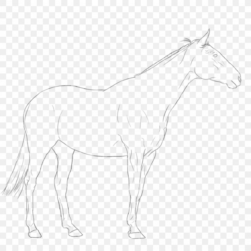 Mule Foal Stallion Bridle Colt, PNG, 894x894px, Mule, Arm, Artwork, Black And White, Bridle Download Free