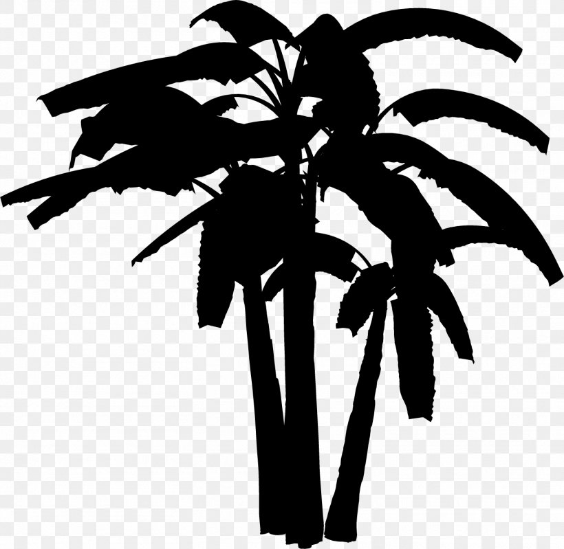 Palm Trees Clip Art Leaf Plant Stem Flower, PNG, 1510x1472px, Palm Trees, Arecales, Blackandwhite, Coconut, Flower Download Free