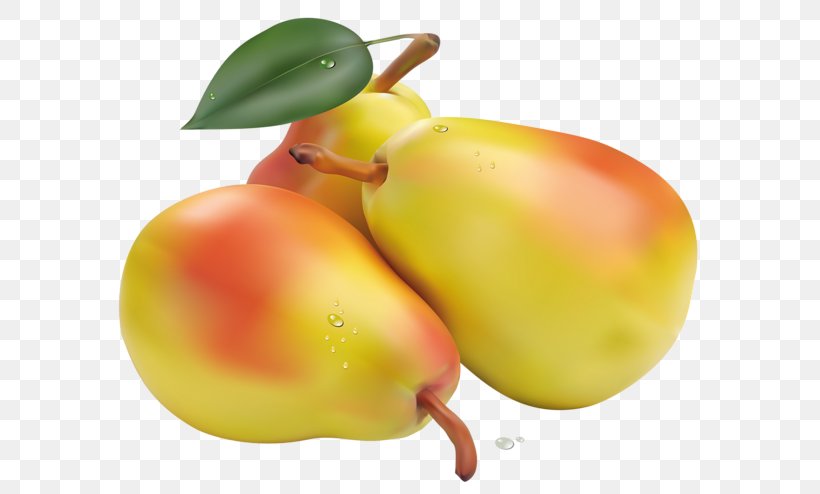 Pear Fruit Clip Art, PNG, 600x494px, Pear, Accessory Fruit, Apple, Apricot, Blackcurrant Download Free