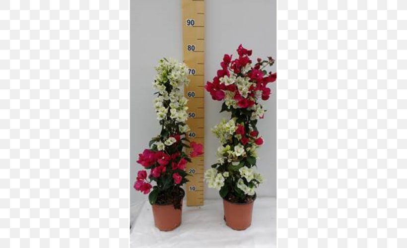 Flowerpot Floral Design Bougainvillea Shrub, PNG, 500x500px, Flower, Artificial Flower, Bougainvillea, Cut Flowers, Cyclam Download Free