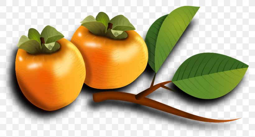 Japanese Persimmon Fruit Food, PNG, 900x486px, Persimmon, Animaatio, Auglis, Conception Dreams, Diet Food Download Free