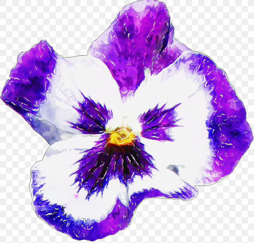 Pansy Flower Lilac Ornamental Plant Orchids, PNG, 1024x978px, Pansy, Cartoon, Flower, Lilac, Orchids Download Free