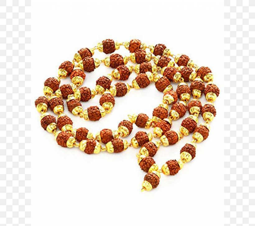 Rudraksha Japamala Mahadeva Bead Haridwar, PNG, 800x727px, Rudraksha, Amber, Bead, Fashion Accessory, Gemstone Download Free