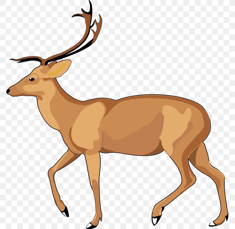 Antelope Gazelle Clip Art, PNG, 775x800px, Antelope, Antler, Cartoon, Deer, Fauna Download Free