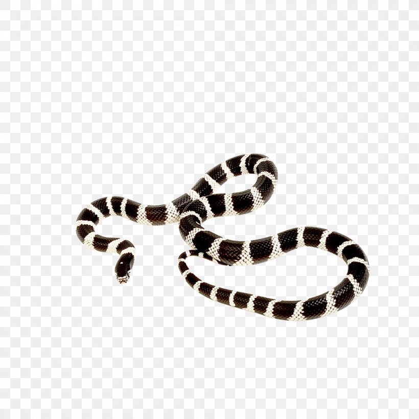 California Kingsnake Ball Python Corn Snake Reptile, PNG, 1000x1000px, Snake, Animal, Ball Python, Body Jewelry, California Kingsnake Download Free