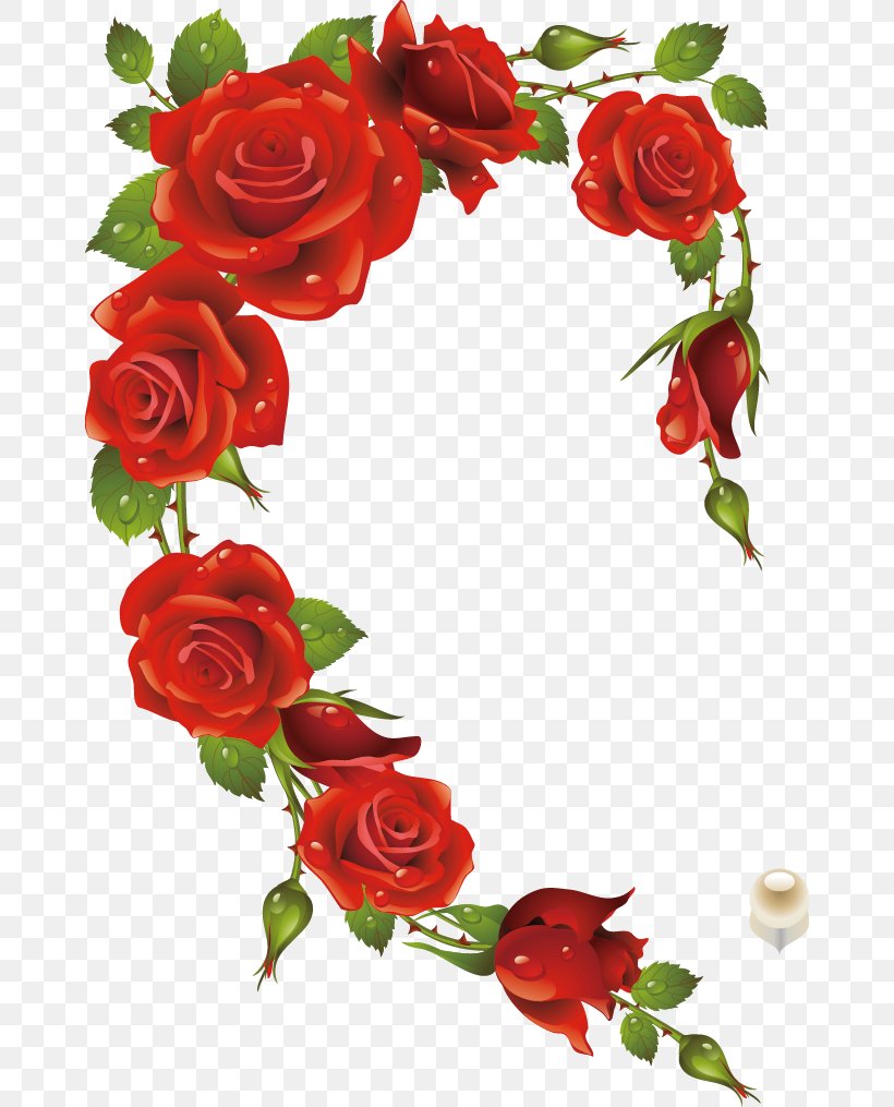 Rose Picture Frame Heart Red, PNG, 664x1015px, Rose, Artificial Flower, Black Rose, Cut Flowers, Floral Design Download Free