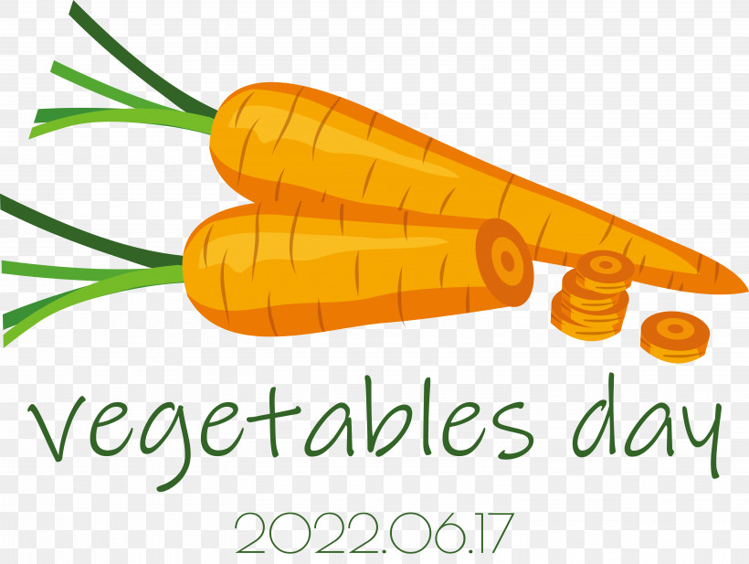 Vegetable Carrot Superfood Commodity Line, PNG, 5870x4423px, Vegetable, Carrot, Commodity, Geometry, Line Download Free