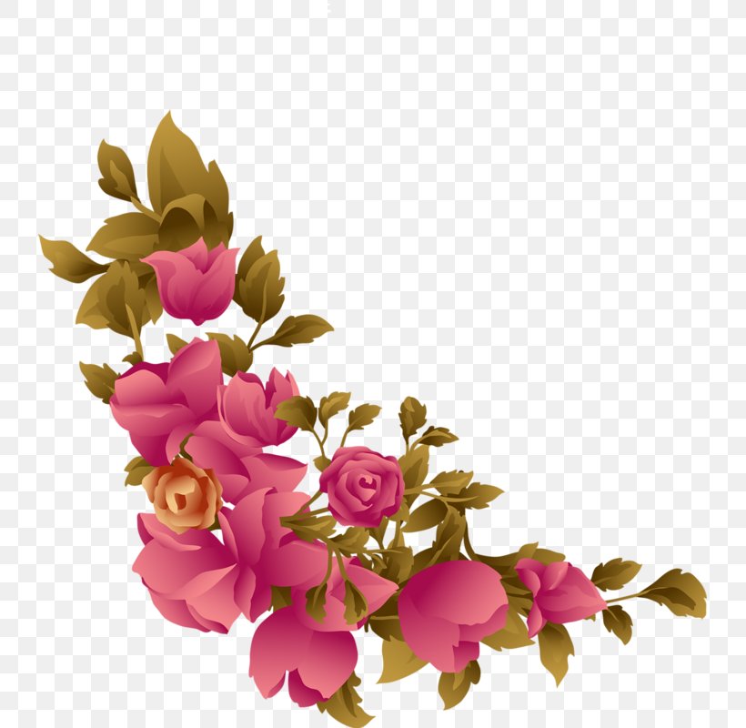 Beach Rose Flower, PNG, 735x800px, Beach Rose, Animation, Blossom, Branch, Cut Flowers Download Free