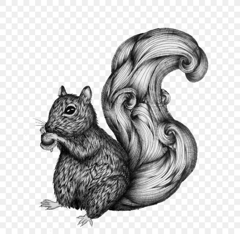 Chipmunk Squirrel /m/02csf IPhone Whiskers, PNG, 680x800px, Chipmunk, Animal, Art, Black And White, Blanket Download Free