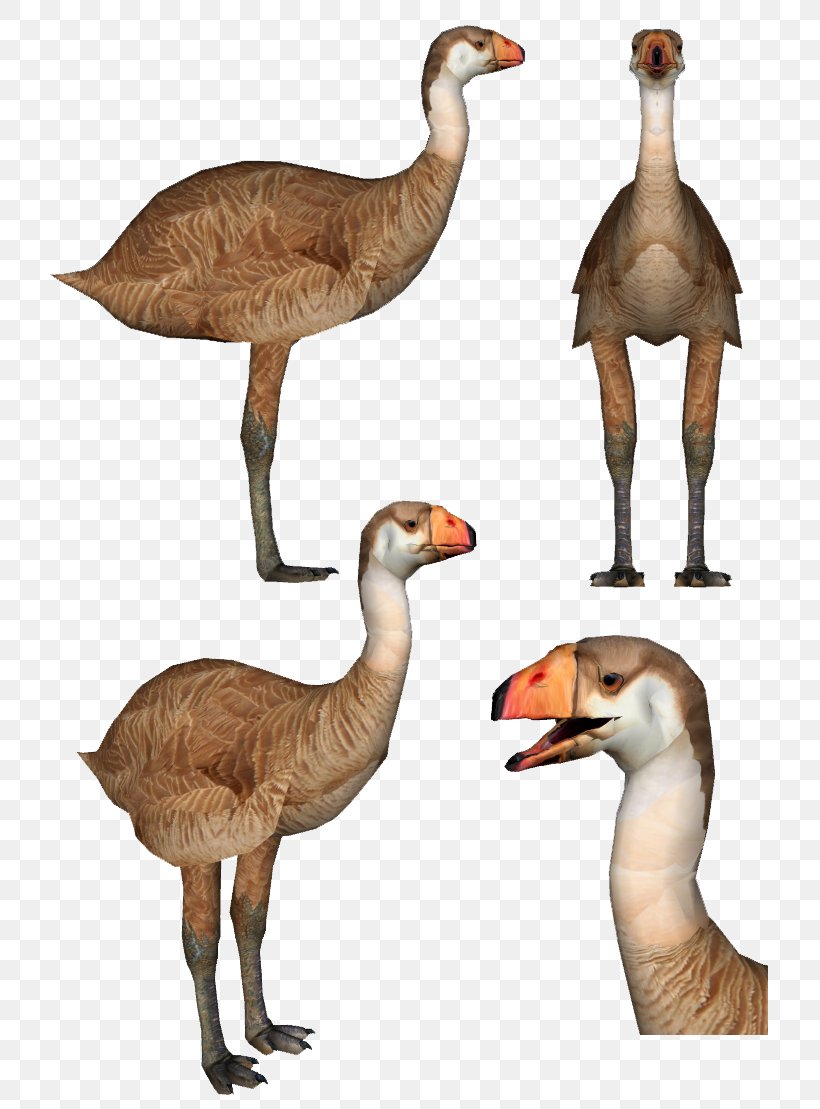 Goose Duck Jurassic Park Builder Rajasaurus Carcharodontosaurus, PNG, 776x1109px, Goose, Beak, Bird, Carcharodontosaurus, Dinosaur Download Free