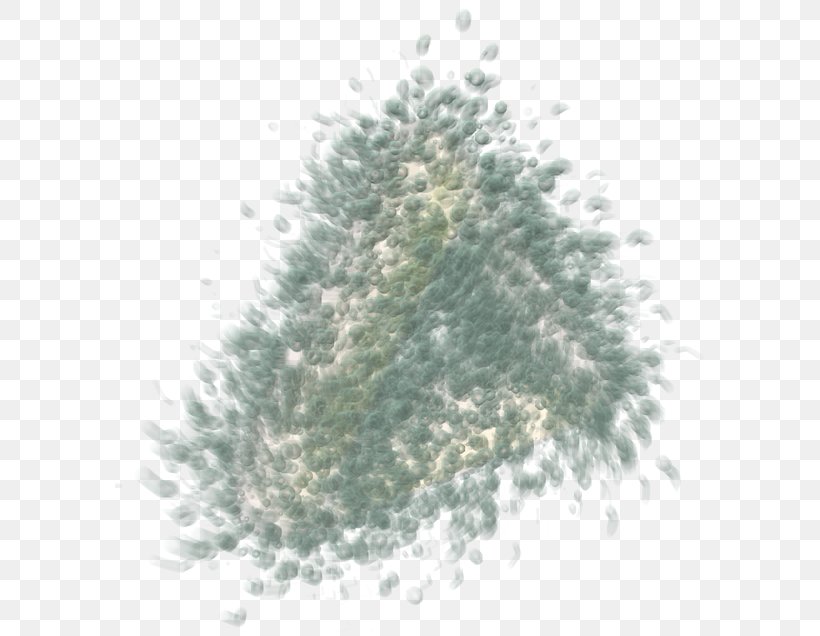 Spruce Christmas Ornament Fir Pine Christmas Tree, PNG, 600x636px, Spruce, Christmas, Christmas Ornament, Christmas Tree, Conifer Download Free