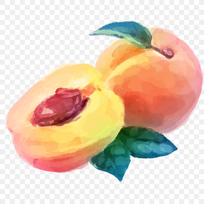 Watercolor Painting Peach Fruit Drawing, PNG, 1000x1000px, Watercolor Painting, Acrylic Paint, Apple, Apricot, Art Download Free