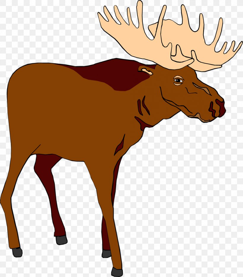 Moose Free Content Stock.xchng Clip Art, PNG, 958x1089px, Moose, Antler, Blog, Cartoon, Cattle Like Mammal Download Free