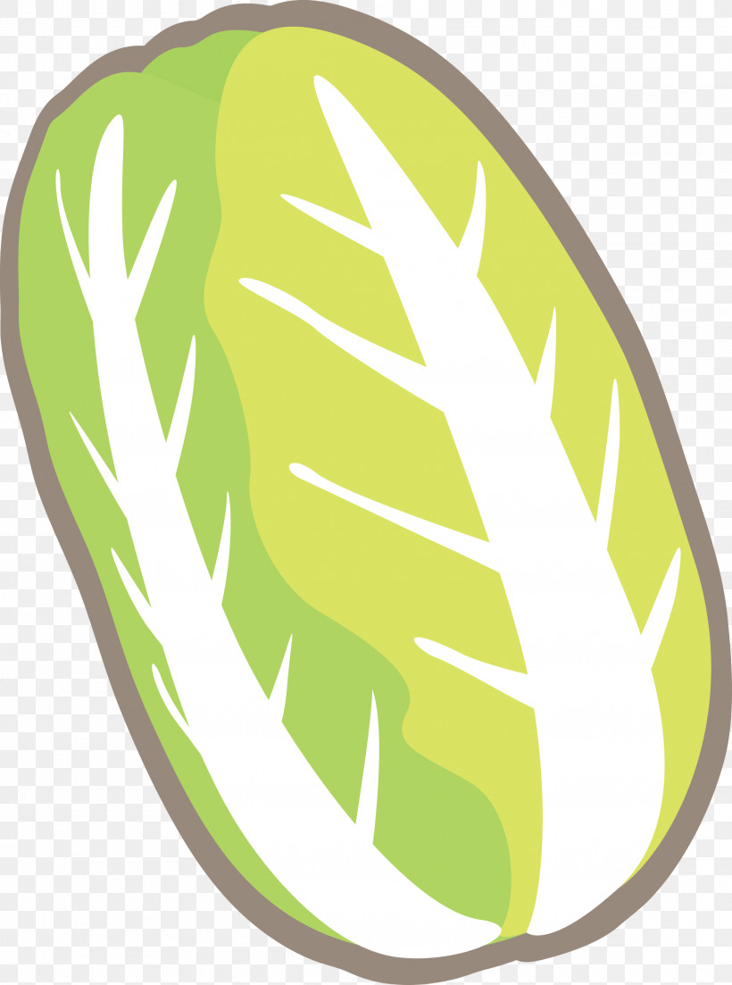 Nappa Cabbage, PNG, 2228x2999px, Nappa Cabbage, Fruit, Green, Leaf, Melon Download Free
