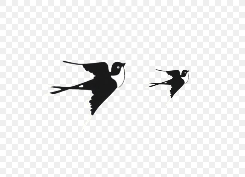 Bird Flight, PNG, 591x591px, Bird, Beak, Black And White, Coreldraw, Feather Download Free