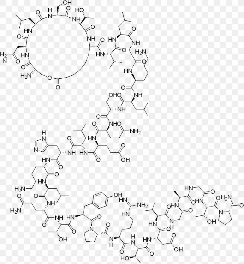 Elcatonin Calcitonin ATC Code H05 Polipeptide Formula Bruta, PNG, 1200x1297px, Watercolor, Cartoon, Flower, Frame, Heart Download Free