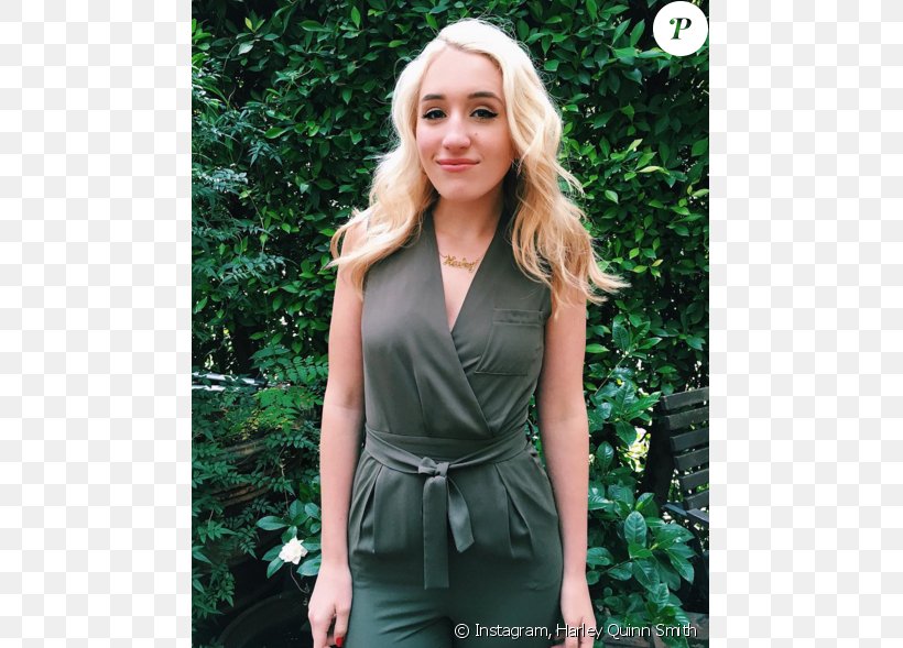 Harley Quinn Smith Clerks Celebrity Hollywood, PNG, 675x589px, Watercolor, Cartoon, Flower, Frame, Heart Download Free