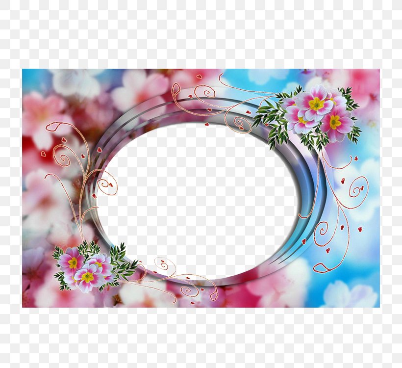 Picture Frames Film Frame, PNG, 750x750px, Picture Frames, Adobe Flash Player, Blossom, Body Jewelry, Camera Download Free