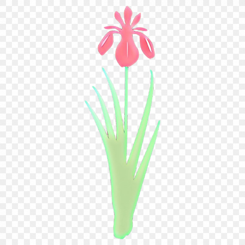 Flower Plant Grass Pedicel Tulip, PNG, 1200x1200px, Flower, Cut Flowers, Grass, Iris, Pedicel Download Free