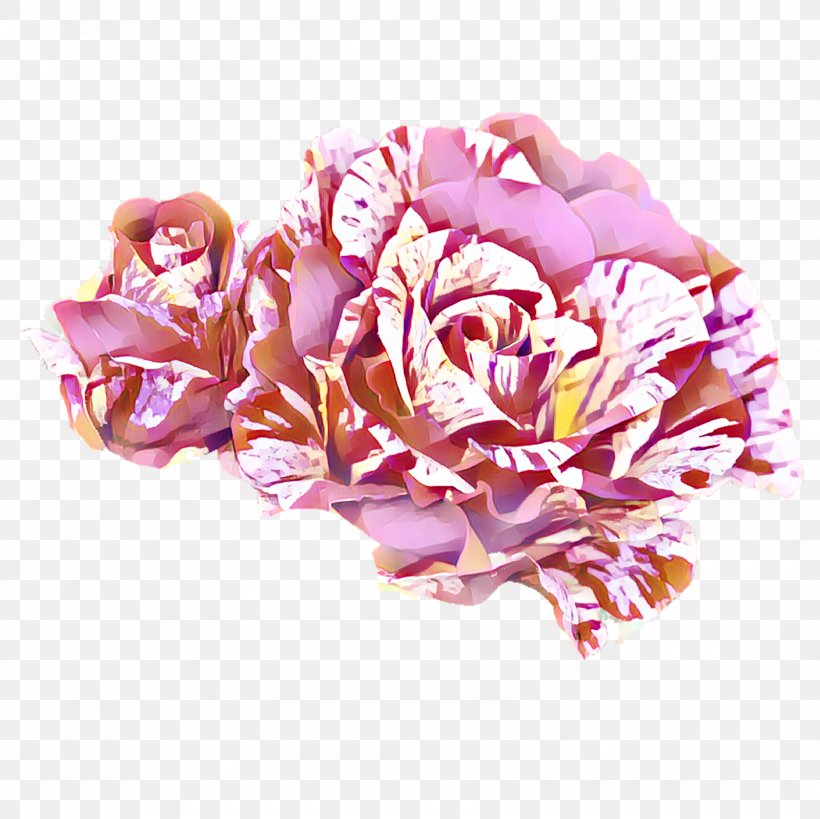 Garden Roses Cabbage Rose Cut Flowers Flower Bouquet, PNG, 1600x1600px, Garden Roses, Cabbage Rose, Carnation, Cut Flowers, Flower Download Free