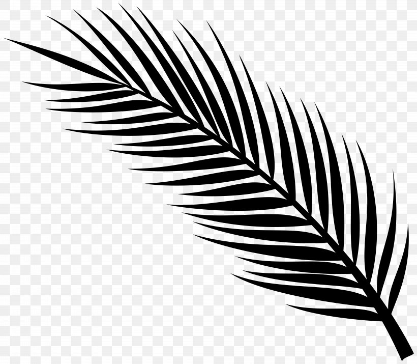 Ghana Music Download Musician Remix, PNG, 8000x6983px, Ghana, Blackandwhite, Botany, Eyelash, Fashion Accessory Download Free