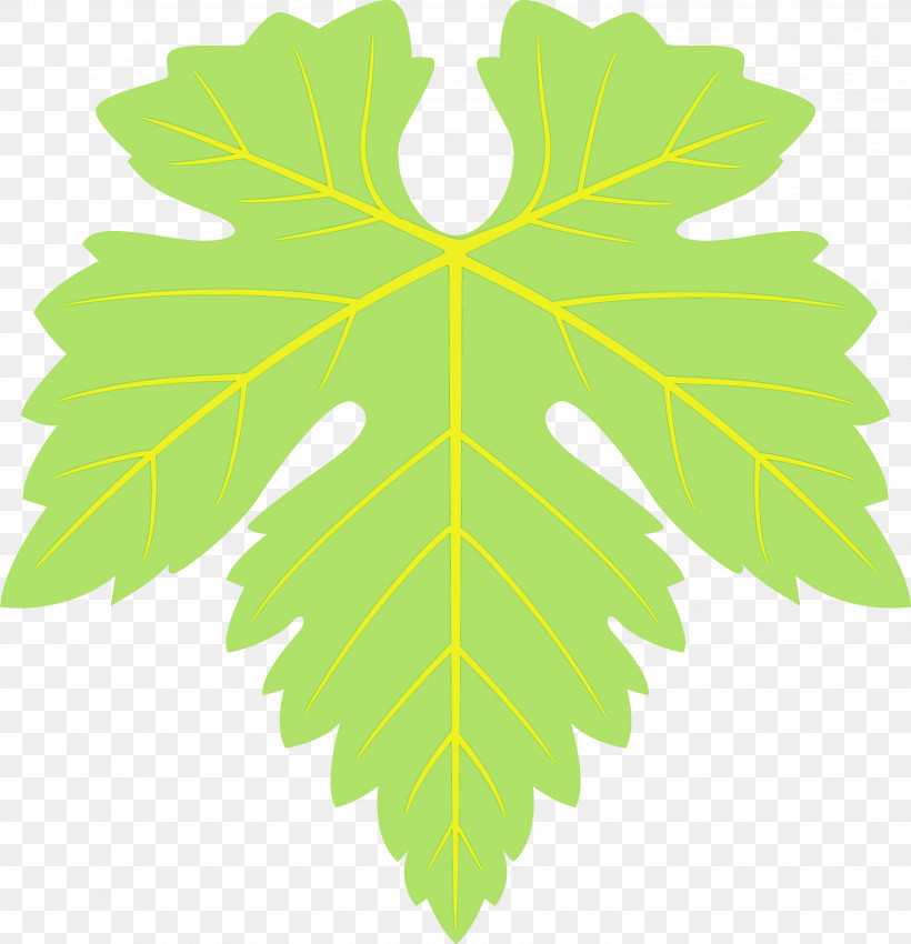 Maple Leaf, PNG, 2894x3000px, Grapes Leaf, Black Maple, Flower, Grape Leaves, Leaf Download Free