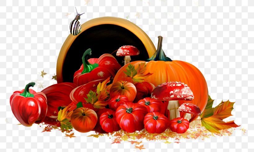 Autumn Leaves Animaatio Blog, PNG, 787x491px, Autumn, Animaatio, Autumn Leaves, Bell Peppers And Chili Peppers, Blog Download Free
