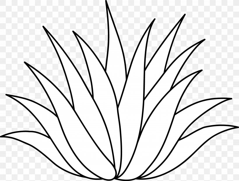 Centuryplant Agave Azul Aloe Vera Drawing Clip Art, PNG, 6303x4790px, Centuryplant, Agave, Agave Azul, Aloe Vera, Artwork Download Free