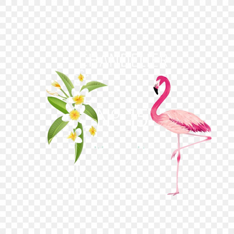 Flamingo Flower Euclidean Vector, PNG, 1024x1024px, Flamingo, Beak, Bird, Crane Like Bird, Flower Download Free