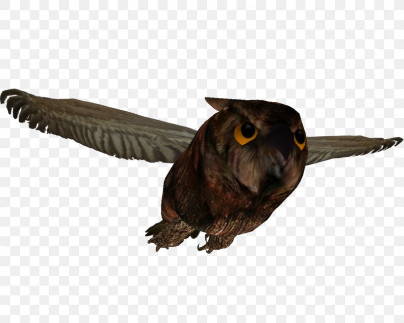 Owl Beak Feather, PNG, 1280x1024px, Owl, Beak, Bird, Fauna, Feather Download Free