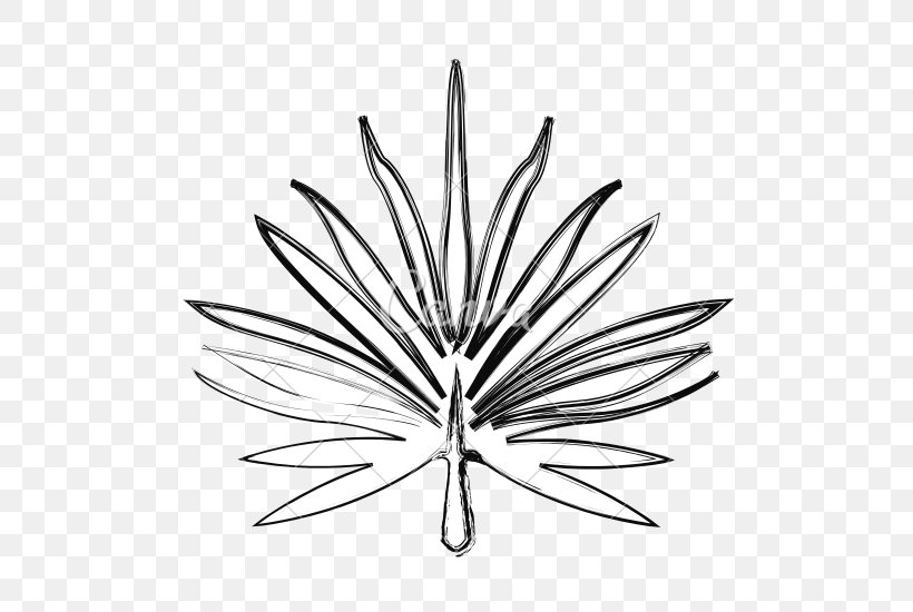 Palm Branch Leaf Drawing Plants Line Art, PNG, 550x550px, Palm Branch, Black And White, Branch, Drawing, Flora Download Free