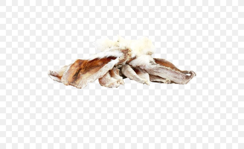 Dog Fur Cat Food Raw Feeding, PNG, 500x500px, Dog, Animal Source Foods, Cat, Cat Food, Chewing Download Free