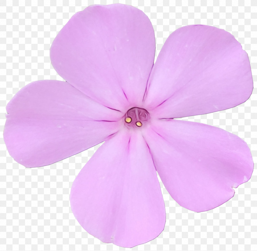 Petal Herbaceous Plant Pink M Flower Plants, PNG, 895x875px, Watercolor, Biology, Flower, Herbaceous Plant, Paint Download Free