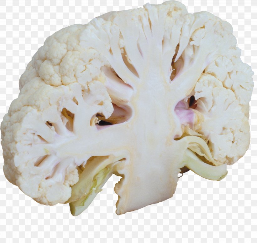 Cauliflower Broccoli Cabbage Vegetable Food, PNG, 5980x5669px, Cauliflower, Bone, Brassica Oleracea, Broccoli, Brussels Sprout Download Free