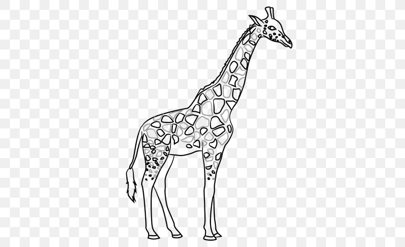Giraffe Line Art Contour Drawing, PNG, 500x500px, Giraffe, Animal Figure, Art, Art Museum, Black And White Download Free