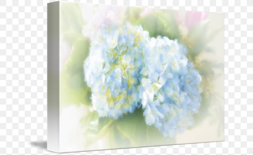 Hydrangea Floral Design Cut Flowers Flower Bouquet, PNG, 650x504px, Hydrangea, Blue, Cornales, Cut Flowers, Floral Design Download Free