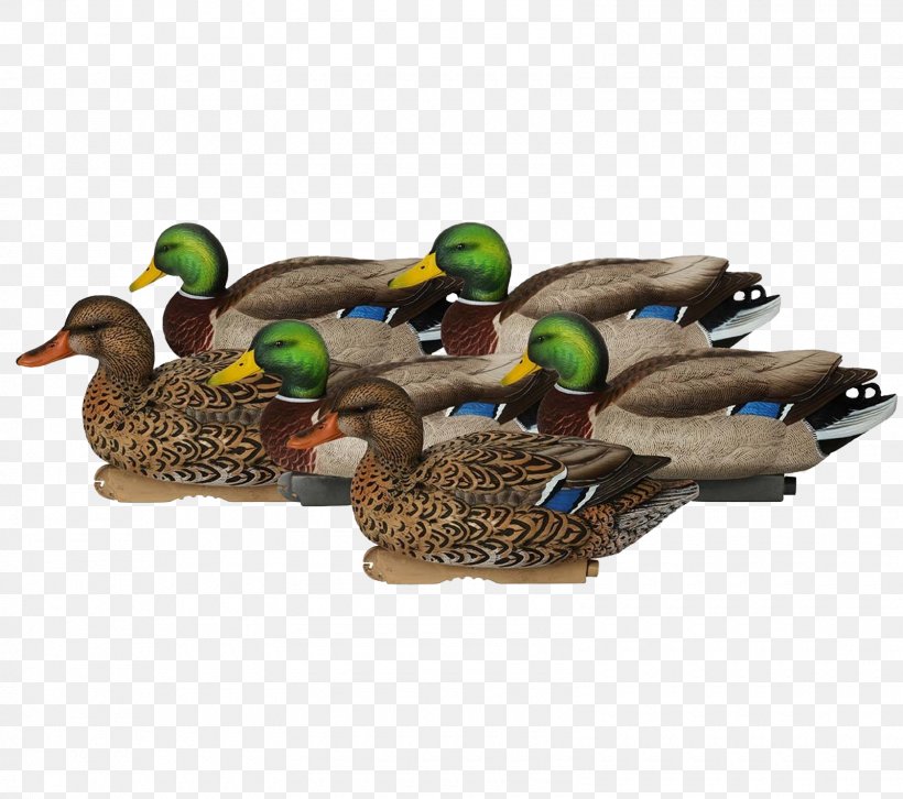 Avery GHG Pro-Grade Mallards Decoys Duck Decoy Greenhead Gear, PNG, 1600x1417px, Mallard, American Black Duck, Avery, Avianx, Beak Download Free