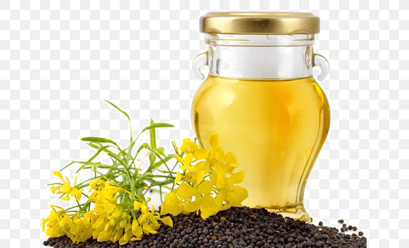 Canola Colza Oil Sunflower Oil Olive Oil, PNG, 650x498px, Canola, Bottle, Colza Oil, Dandelion Coffee, Expeller Pressing Download Free