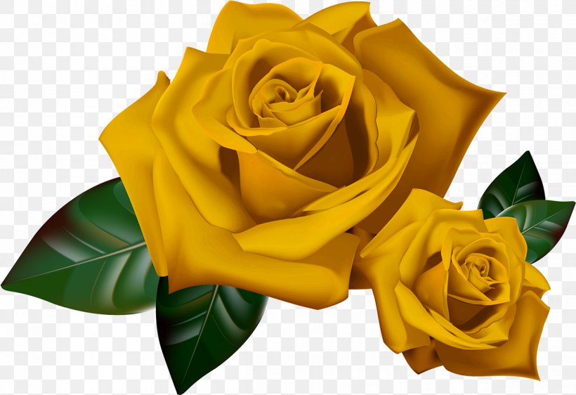 Clip Art Rose Image Desktop Wallpaper, PNG, 1200x823px, Rose, Blue Rose, Cut Flowers, Drawing, Floribunda Download Free