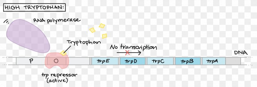 Document Line, PNG, 1915x656px, Document, Area, Brand, Diagram, Material Download Free