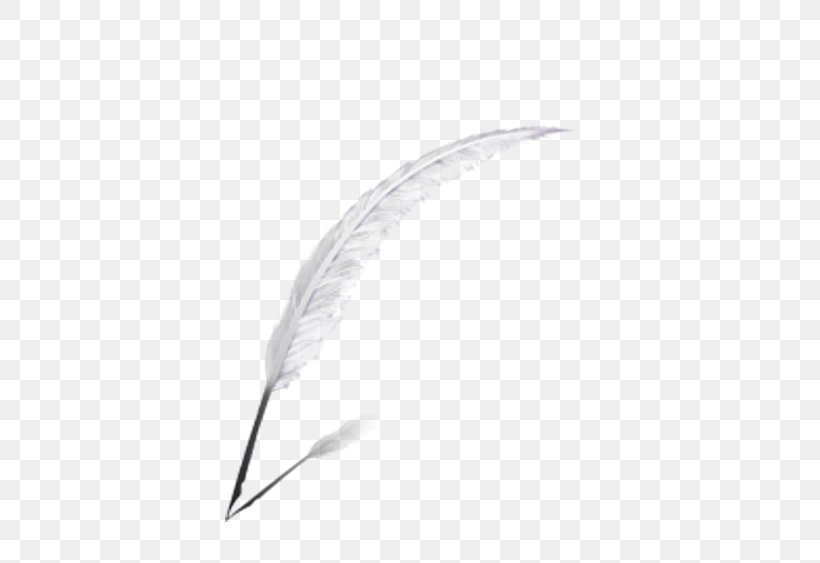 Feather Computer File, PNG, 500x563px, Feather, Drawing, Google Images, Material, Matter Download Free