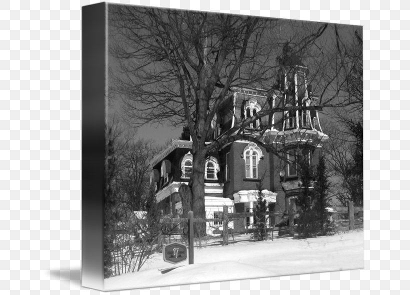 Picture Frames Black Image, PNG, 650x590px, Picture Frames, Black, Black And White, Facade, History Download Free