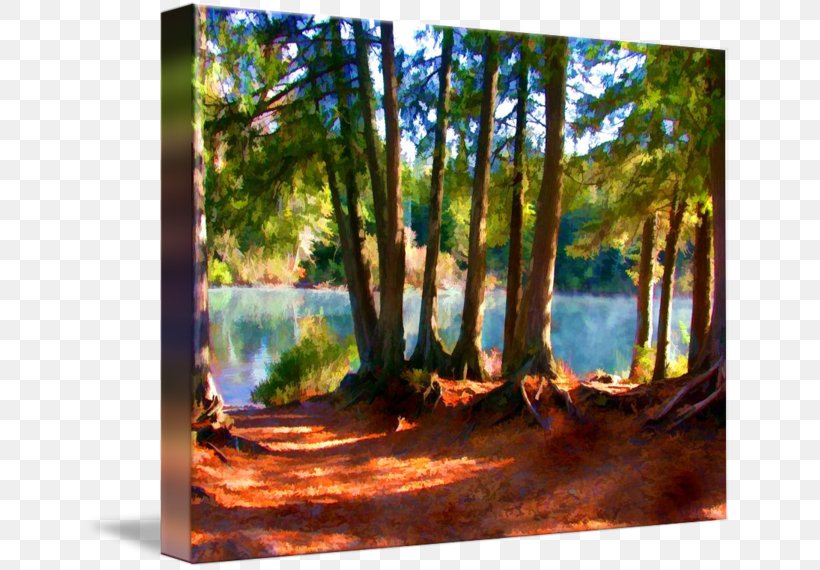 Bayou Painting Woodland Gallery Wrap Landscape, PNG, 650x570px, Bayou, Art, Canvas, Forest, Gallery Wrap Download Free