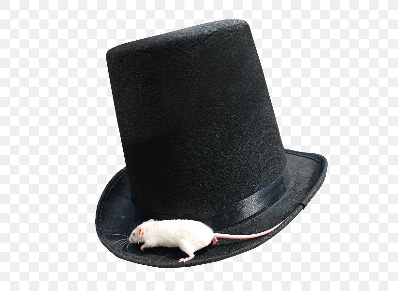Conner Hats Men's Steampunk Wool Top Hat Portable Network Graphics Computer Mouse, PNG, 800x600px, Hat, Cap, Computer Mouse, Costume Accessory, Costume Hat Download Free