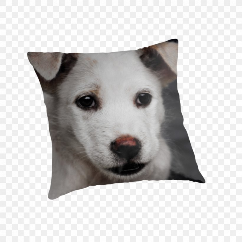 Dog Breed Siberian Husky Kishu Puppy Pillow, PNG, 875x875px, Dog Breed, Breed, Carnivoran, Cushion, Dog Download Free
