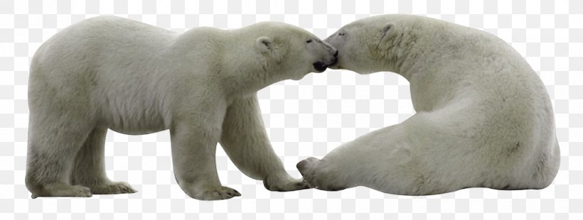 Polar Bear, PNG, 1008x382px, Polar Bear, Animal Figure, Bear, Carnivoran, Comparazione Di File Grafici Download Free